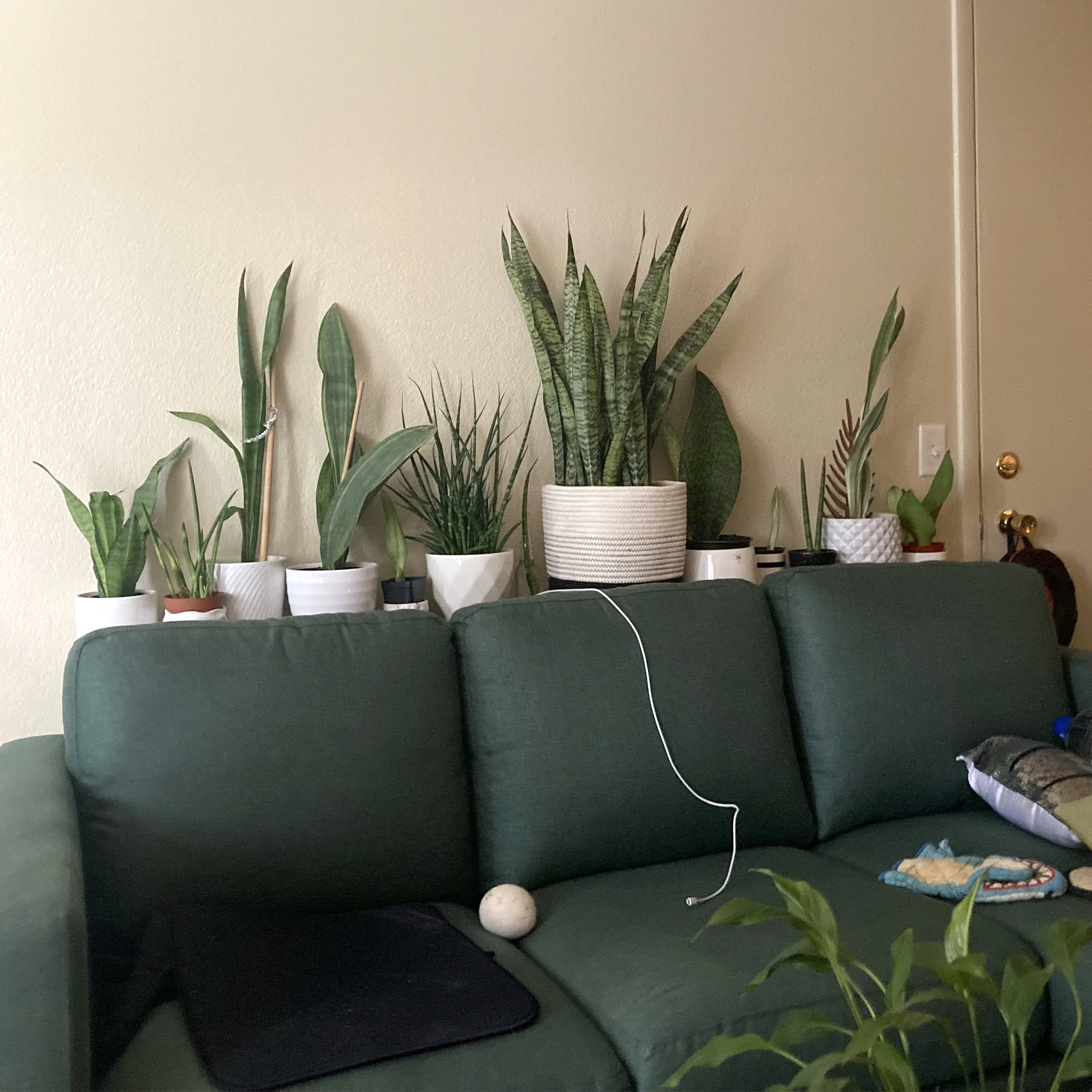 IH-GPWA-_Grass_Panel_Website_Assets_-_Section_3B.png